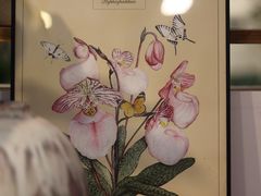 -自由生长植物工作室(深港花卉中心店)