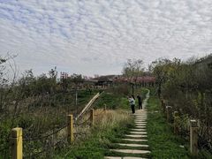 -南京市江宁方山