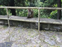 -北京上方山国家森林公园