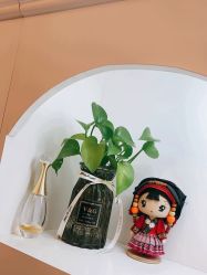 -美肤盾祛痘·问题肌头疗管理中心