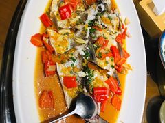 -丹江渔村(望京店)