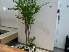 -喜茶(中山利和新地店)