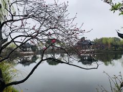 -无锡蠡湖国家湿地公园-蠡园