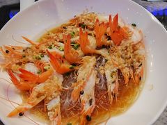 -新白鹿餐厅(百联中环店)