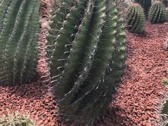 -南通洲际绿博园