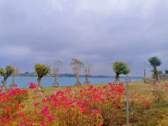 -露天矿生态公园