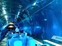 -海棠湾洲际-涛·海底餐厅·美人鱼·自助餐·海底隧道