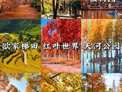 -广州市石门国家森林公园