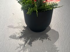 -三利音·浦之舟(滨江大道店)