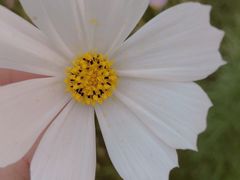 -天津东丽湖风景区