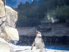 -上海海昌海洋公园