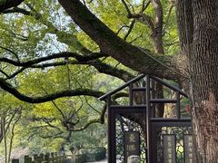 -城隍阁