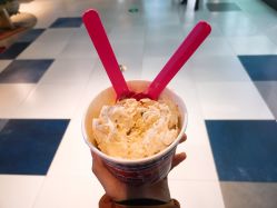 -朵莉丝希腊冻酸奶