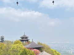 -杭州半山国家森林公园