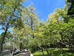 -元大都城垣遗址公园