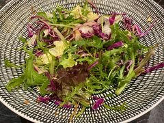 牛油果有机蔬菜沙拉-龍二烧肉酒场(九亭店)