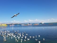-青海湖国家重点风景名胜区