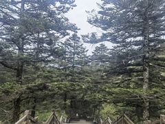 -神农架景区