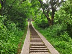 -青龙山国家森林公园