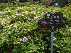 -洛阳市隋唐城遗址植物园