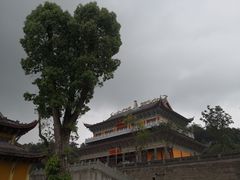 -铁山坪森林公园