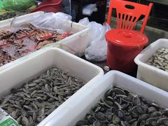 -三亚新鸿港水果一级批发市场