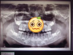 点击看大图 -上海交通大学医学院附属上海儿童医学中心(陆家嘴总院区)