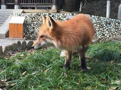 景点-景德镇古窑民俗博览区