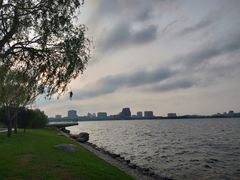 酒店后院-上海滴水湖皇冠假日酒店