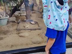 -海合安成都极地海洋公园