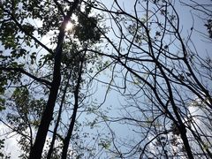 景点-重庆彩云湖湿地公园