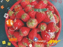 -小鱼草莓采摘园农家乐·小鱼餐厅