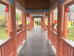 -靖西鹅泉风景区