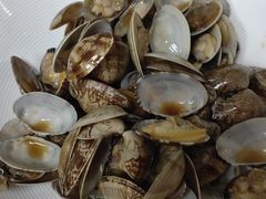 -老阿爸鲜鱼土菜(园区永旺店)