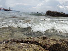 -玫瑰海岸文化旅游度假区