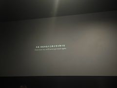 -CMC大光明影城(莲花店)