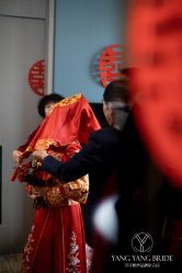 -洋洋婚纱品牌集合店