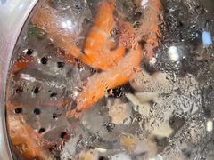 -海大大蒸汽海鲜餐厅·粤菜·特色小炒(欢乐颂店)