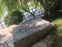 -莲湖公园