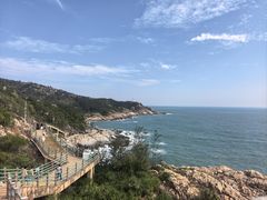 -广东惠东海龟国家级自然保护区