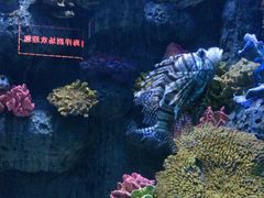 -左海海底世界