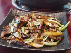 -蘑统田下·野生菌火锅