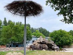 -北京野生动物园