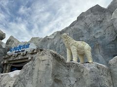 -上海海昌海洋公园-冰山北极馆