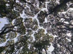 -同里国家湿地公园