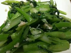 -滇铺子·云南特色菜·第九届野生菌美食节(东风东路c86店)