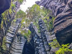 -梭布垭石林景区