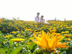 点击看大图 -摩玛婚纱摄影(杭州店)