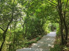 -杭州半山国家森林公园