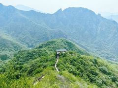 -大岭沟猕猴桃谷风景区